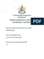 reporte de enfoque de microscopio.docx