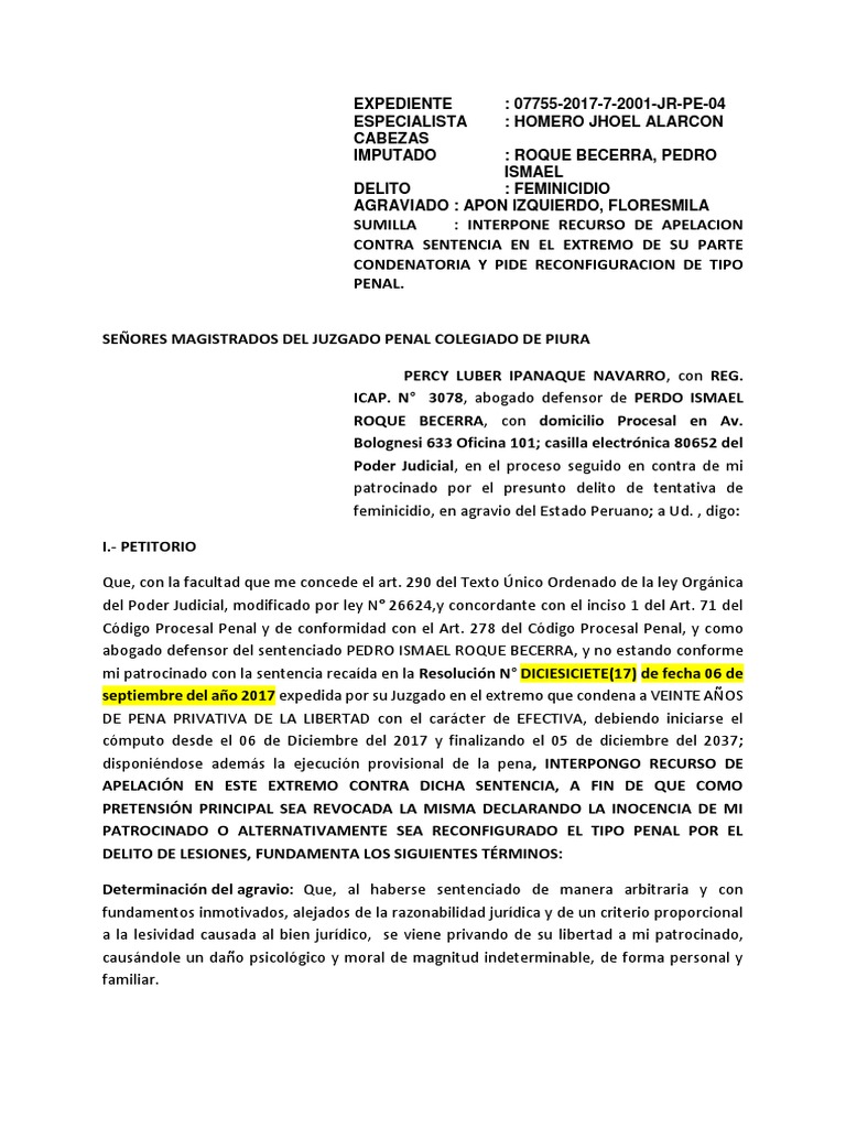 Modelo Apelación NCPP | PDF | Derecho penal | Apelación