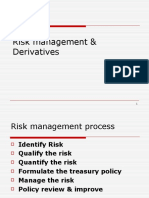 Risk Management & Derivatives