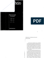 Ribeiro 1998 Etapas Da Evolucao Sociocultural O Processo Civilizatorio