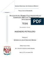 Tesis BEC UNAM_Sistemas Artificiales de Produccion .pdf