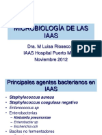 Manual Definiciones Vigilancia Epidemiológica IAAS 