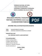 Epidural fentanilo analgesia posquirúrgica en perras ovariohisterectomizadas