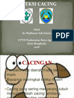 INFEKSI CACING