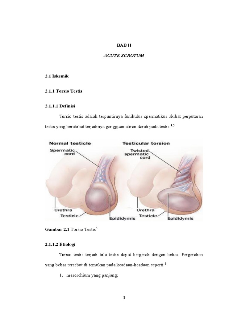 Sport haqida porno filmlar