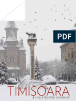 ALBUM Timisoara PDF
