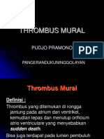 Thrombus Mural 2