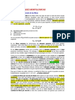 221 Morfología. Finura PDF