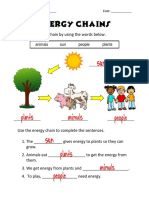 1 Science Energy Chains Answers