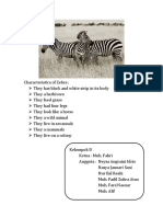 Zebra Facts: Characteristics of the Black and White Striped Savannah Dweller