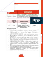 Profesional Junior 300-01 Gerencia de Determinacion de Derechos Bogota