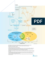 Ozone Depletion and Climate Change 