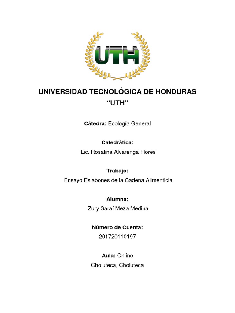 Ensayo sobre los eslabones de la cadena alimenticia y la importancia de los productores