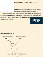 Anomalii ale hemostazei