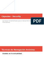 Pildoras Security Information