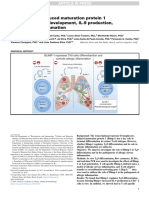 B lymphocyte–induced maturation protein 1 controls TH9 cell development and allergic inflammation