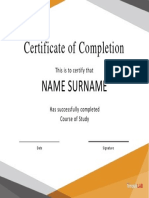 Certificate of Completion: Name Surname