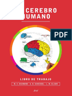 27903_El cerebro humano.pdf