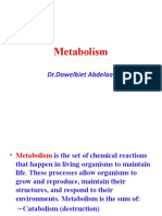 Daw Metabolism
