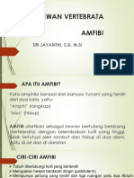 Sistem Hewan Vertebrata Amfibi PDF