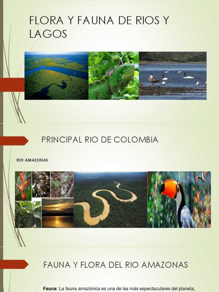 Flora y Fauna de Rios y Lagos | PDF