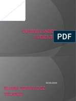 LA CONTAMINACION AMBIENTAL.pptx