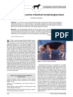 1.case Study in Canine Intestinal Lymphangiectasia