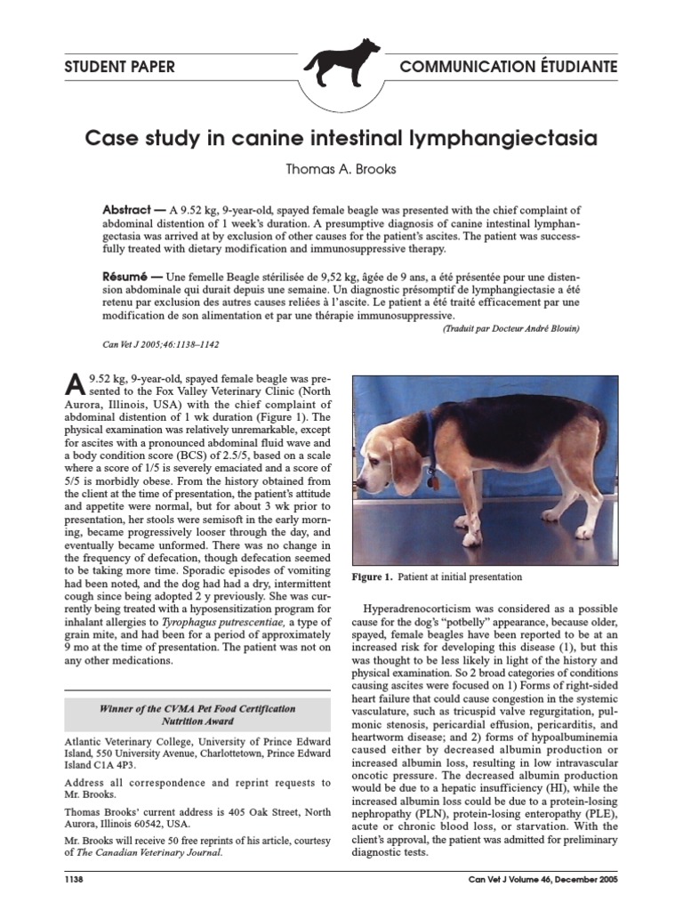 1.case Study in Canine Intestinal Lymphangiectasia PDF Inflammatory