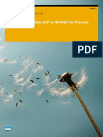 Custom Code within SAP S4HANA On-Premise.pdf