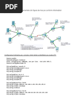 Exemplu Retea PDF