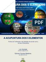 AcupunturaSaam_ebook.pdf