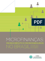 Microfinanças no Brasil: o papel das instituições financeiras
