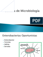 Cátedra de Microbiología Enterobacterias
