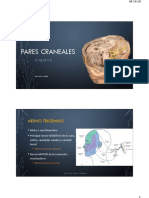 Clase Viii Neuroanatomia Parte Ii PDF
