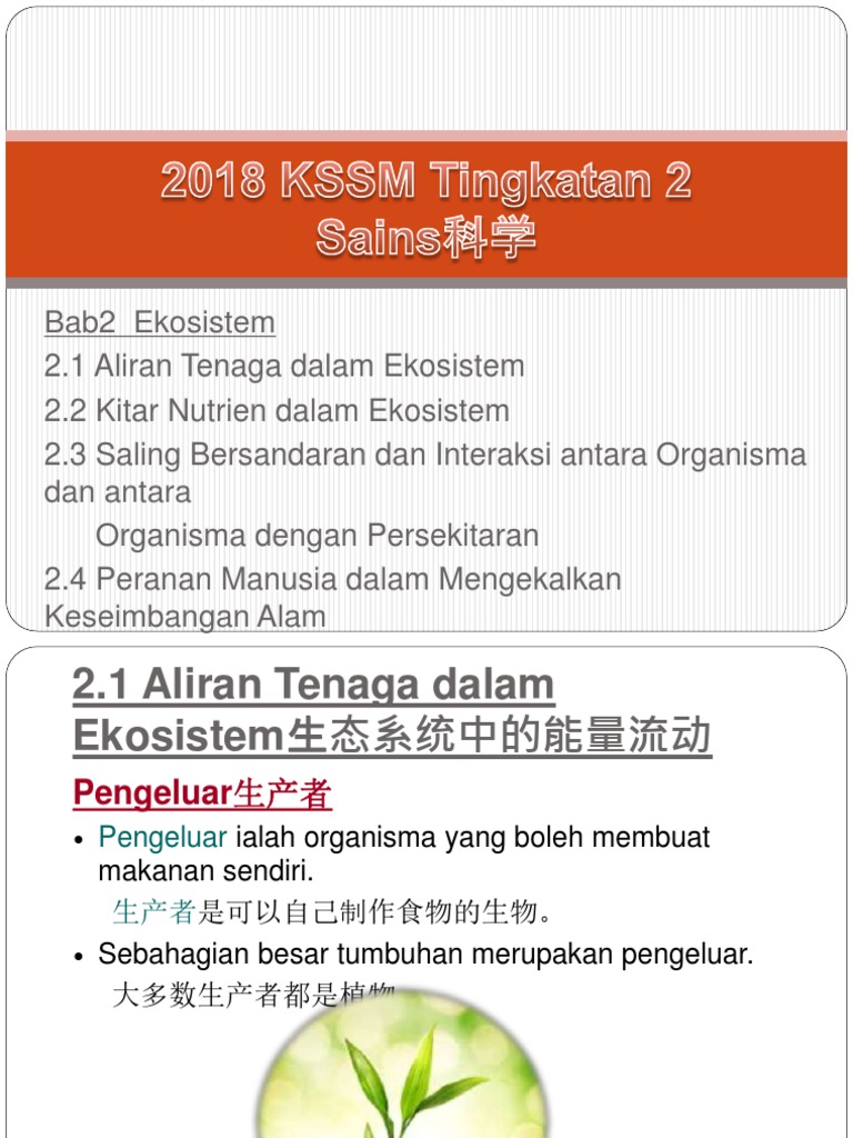 Bab2ekosistem 181112070700 Pdf Pdf