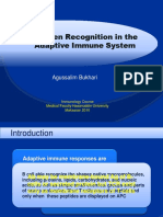 Antigen Recognition in The Adaptive Immune System: Agussalim Bukhari