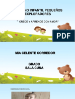 Diapositivas MIA 3 P