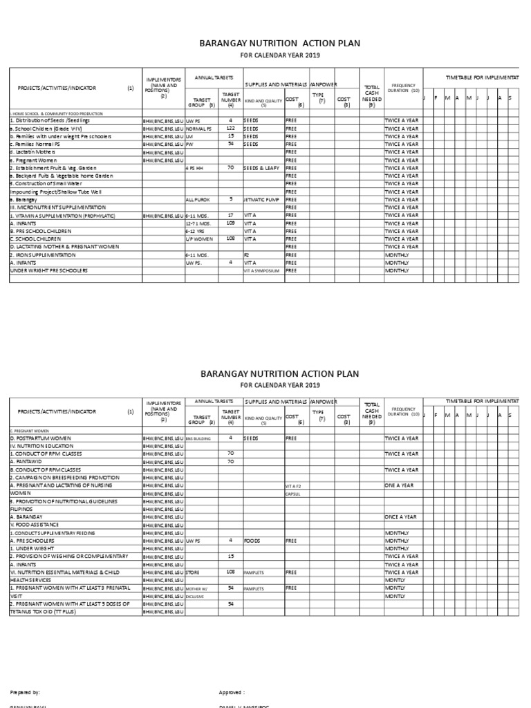 BNC Plan | PDF | Public Health | Determinants Of Health