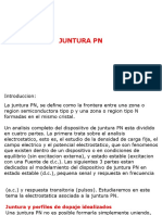 Juntura_PN ciclo 2018-3.pptx