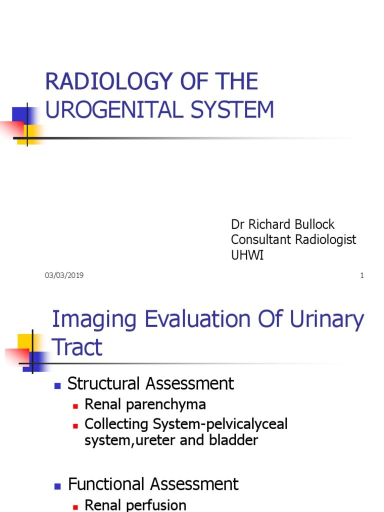 Genitourinary Radiology PDF Medical Imaging Radiology