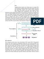 Trakripsi Overview Prokariot