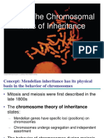 CH 15 The Chromosomal Basis of Inheritance