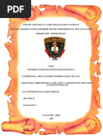 SR.docx