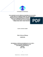 File PDF