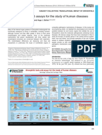 Drosophila Tools and Assays For The Study of Human Diseases: at A Glance