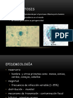 2 - Blastocystocis CORREGIDO PDF