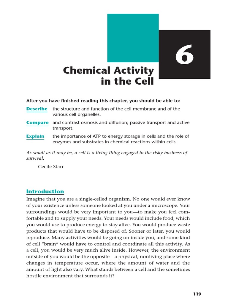 Chemical Activity in the Cell A Concise Overview of Cell Membranes