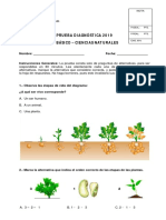 PRUEBA DIAGNOSTICO