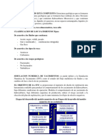 SIMULACION NUMERICA