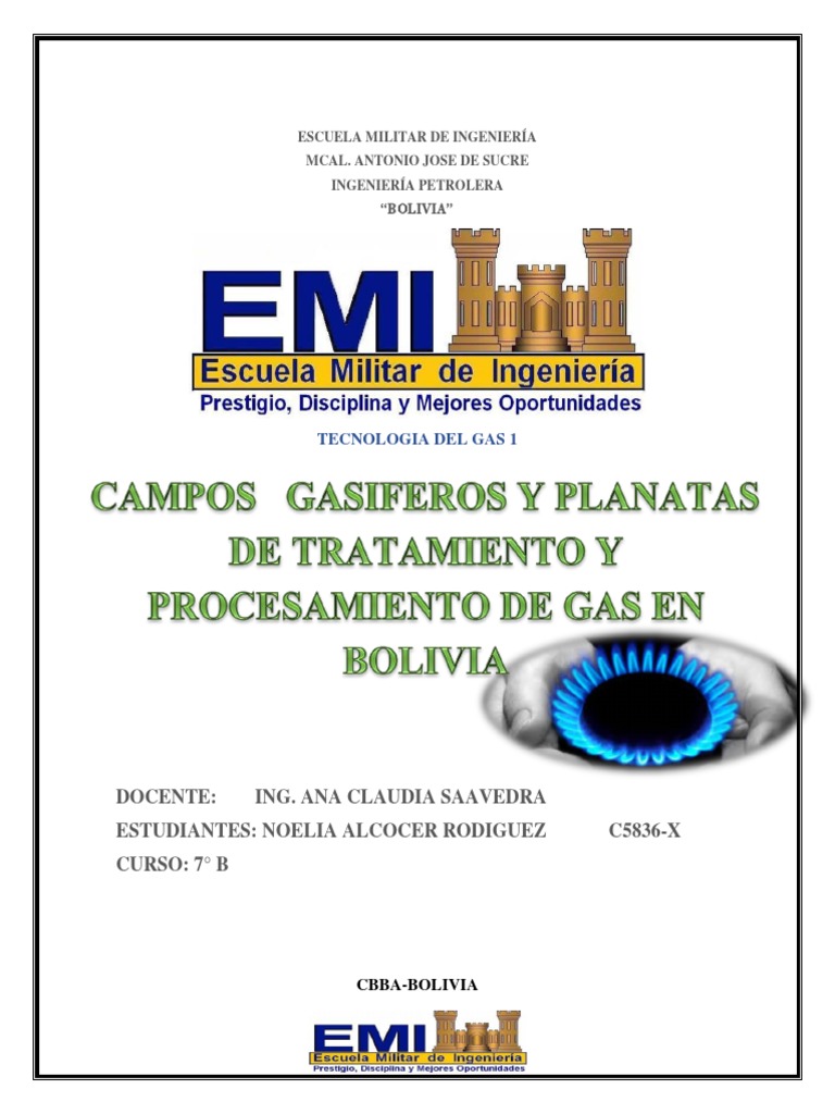 Campos y Plantas de Gas en Bolivia | PDF | Bolivia | Gas natural
